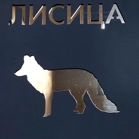 Lisica Zlatibor